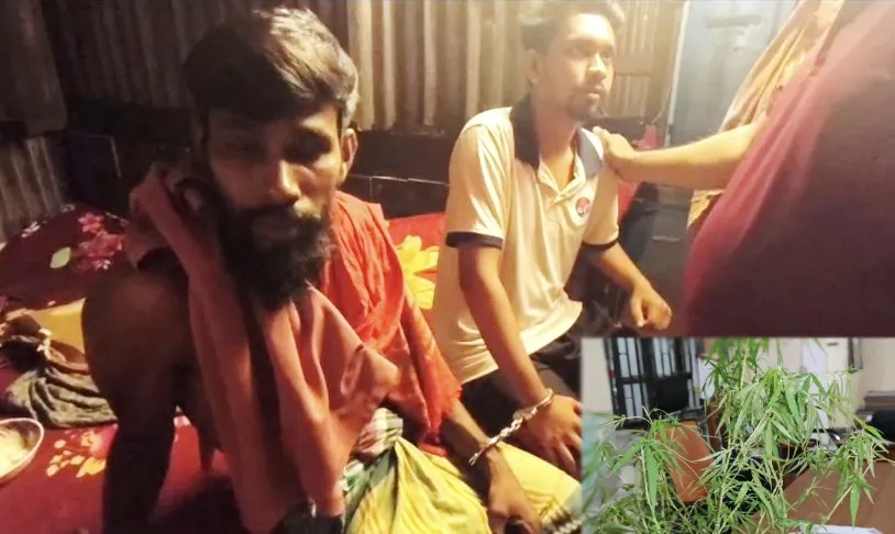 পিরোজপুরে গাঁজা গাছসহ মাদক সেবনরত অবস্থায় দুই যুবক গ্রেপ্তার